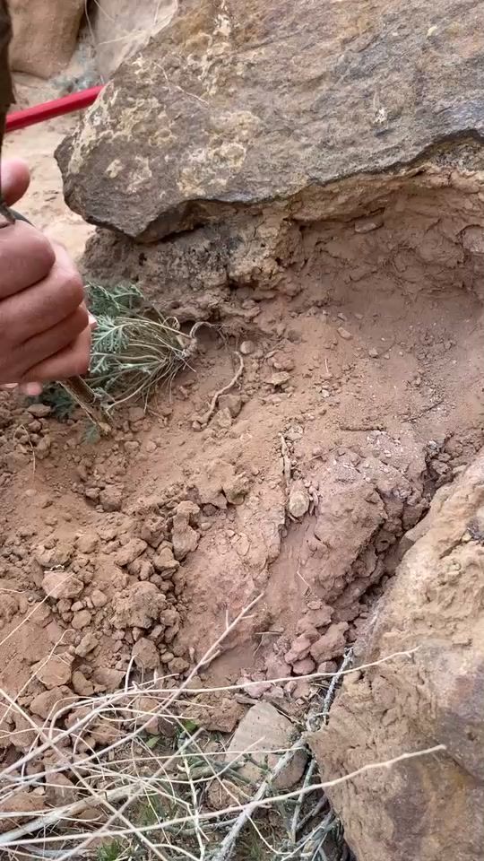 TikTok video thumbnail by abo.bandar4