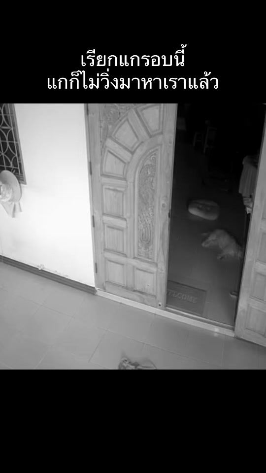 TikTok video thumbnail by proysawan