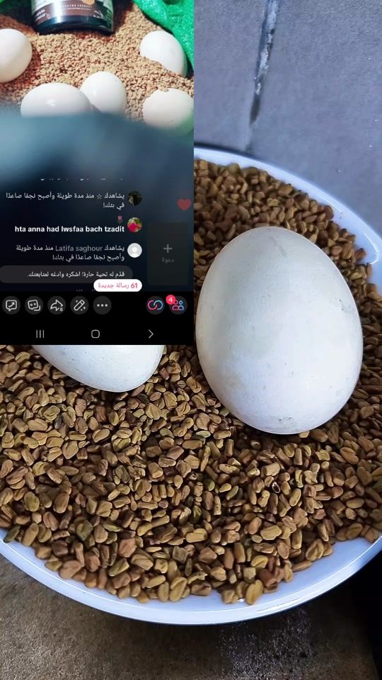 TikTok video thumbnail by rodaynaproducts2