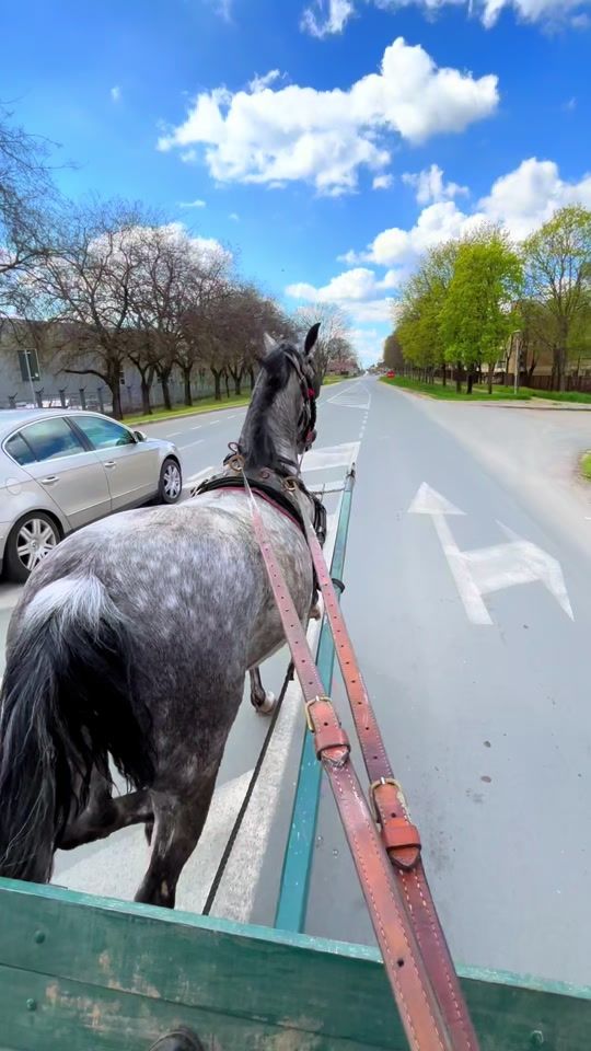 TikTok video thumbnail by .rajkovic1987