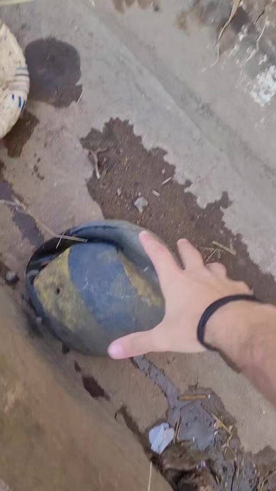 TikTok video thumbnail by guh_volei_