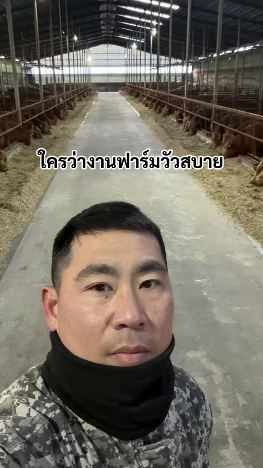 TikTok video thumbnail by surachet_noom