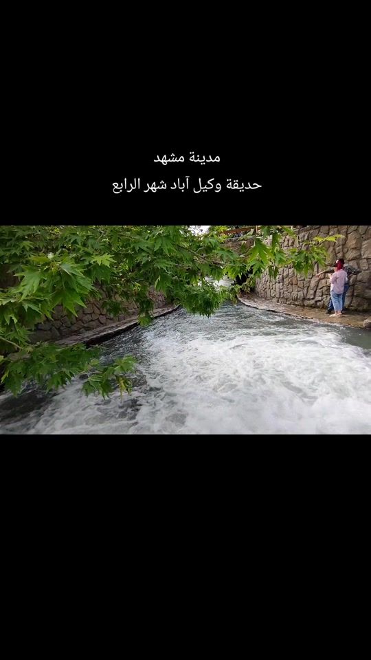 TikTok video thumbnail by sayedhassan..hashemi