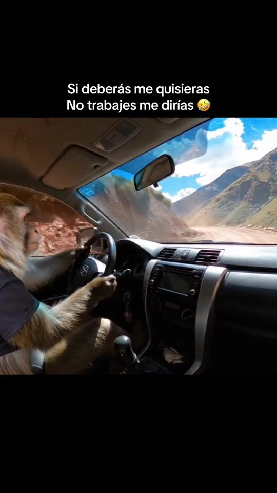 TikTok video thumbnail by luchito_tu_terror