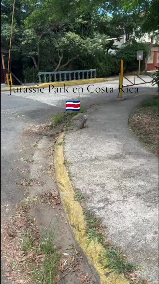 TikTok video thumbnail by frankcarrera65