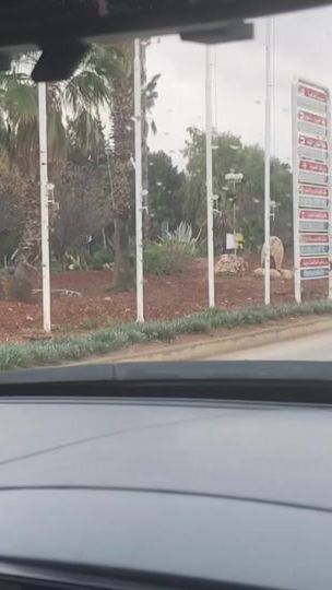 TikTok video thumbnail by saroo19955