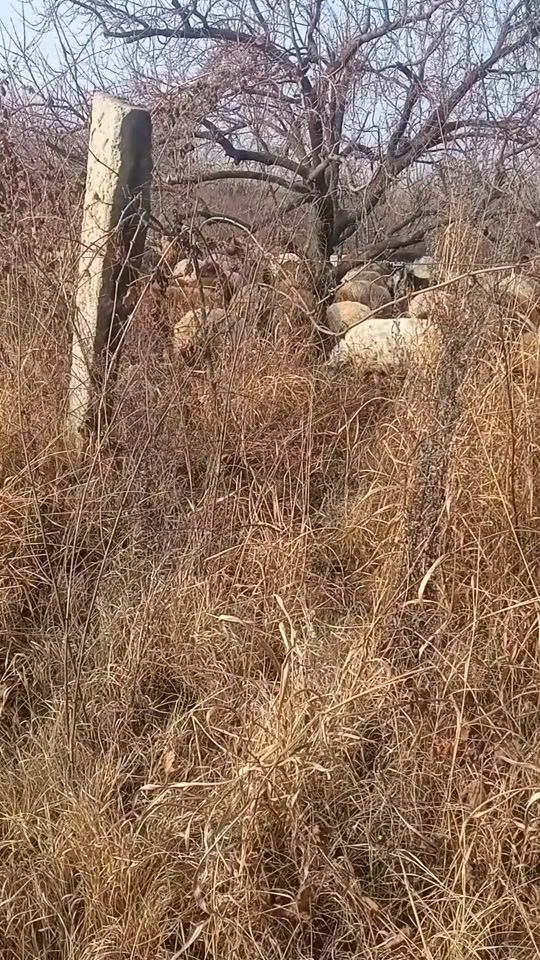 TikTok video thumbnail by kyanqis.kyanq