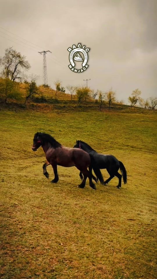 TikTok video thumbnail by racic.manjaca
