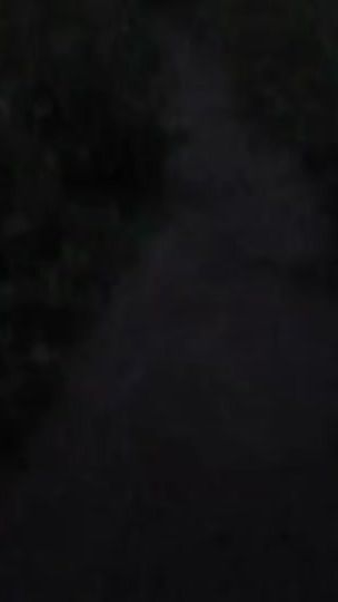 TikTok video thumbnail by blood_meny