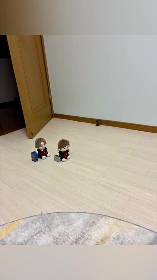 TikTok video thumbnail by satomi_roi