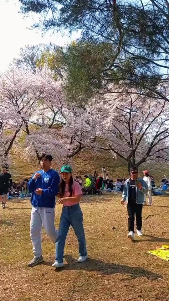TikTok video thumbnail by kenjiro510