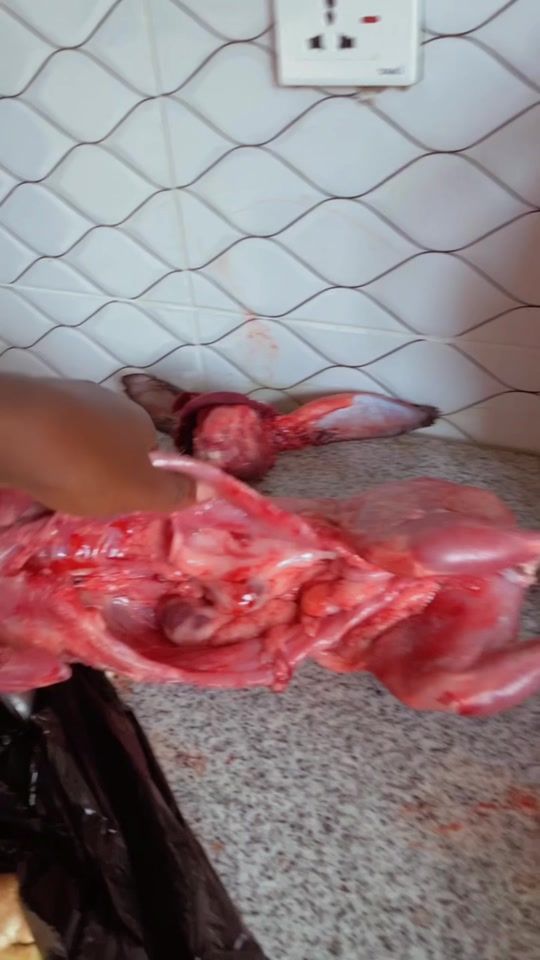 TikTok video thumbnail by eulalie243