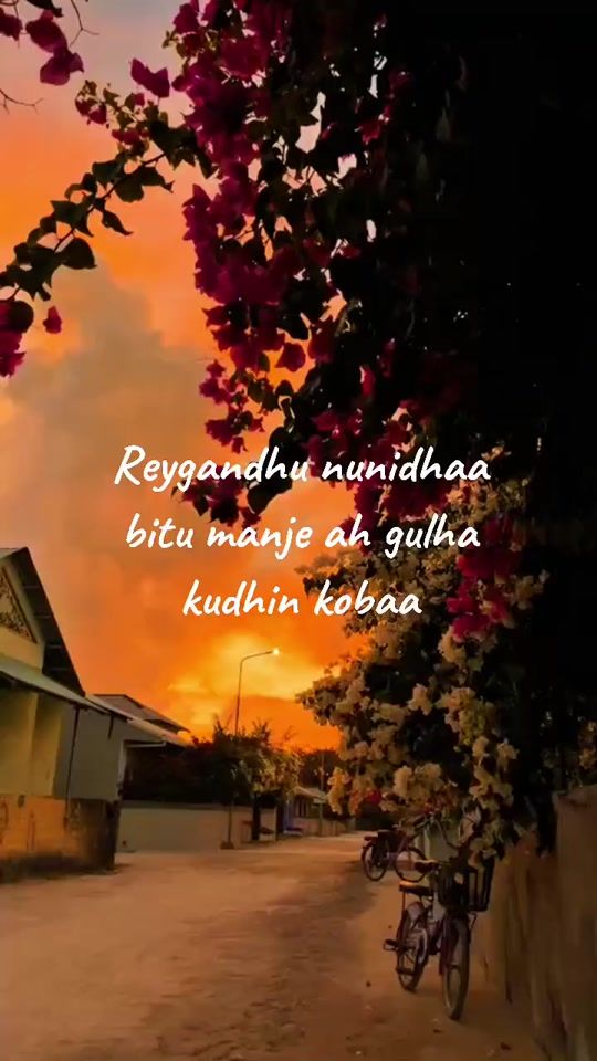 TikTok video thumbnail by itxleo.mv