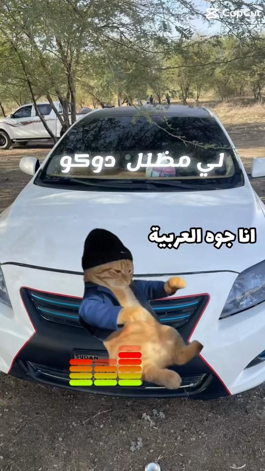 TikTok video thumbnail by abdalla33331