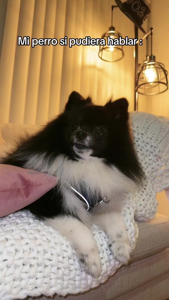 TikTok video thumbnail by maritzakuri