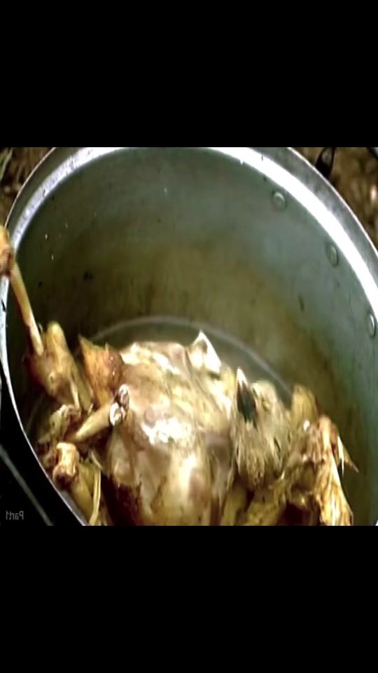 TikTok video thumbnail by htmchannel2
