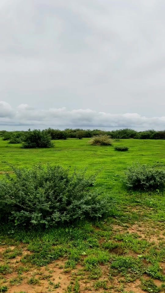 TikTok video thumbnail by abeed972