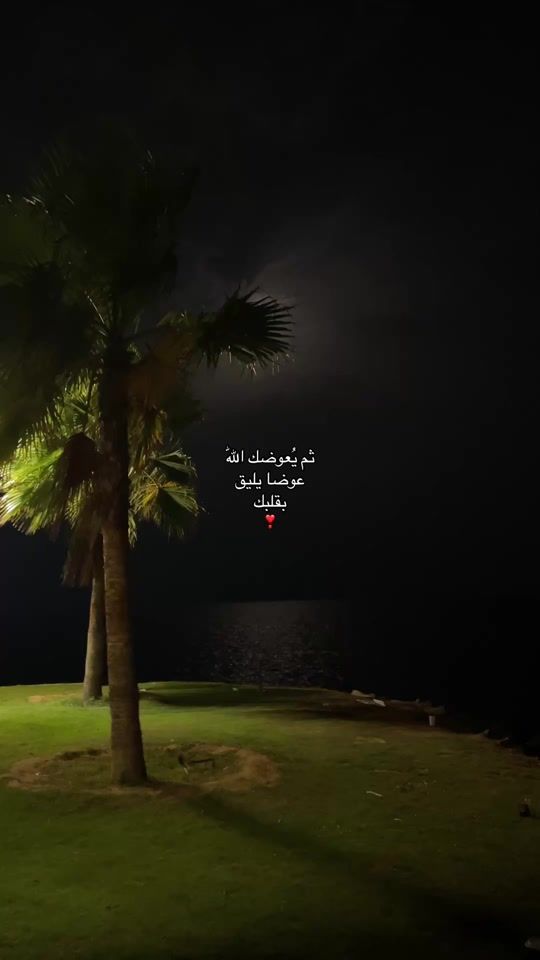 TikTok video thumbnail by lo_7_77