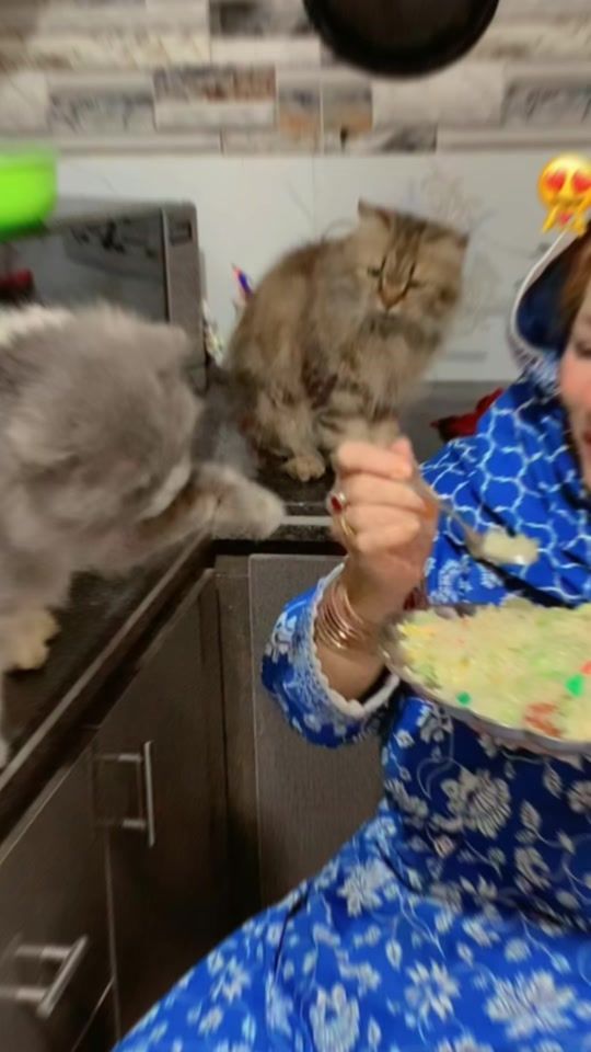 TikTok video thumbnail by jannatbebo2133