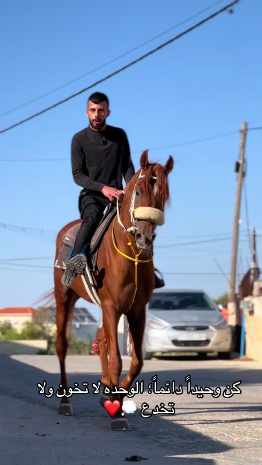 TikTok video thumbnail by zaidaboadam1