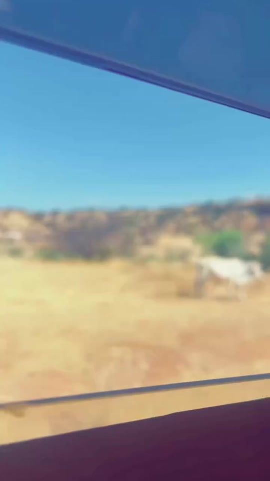 TikTok video thumbnail by promusharaf3