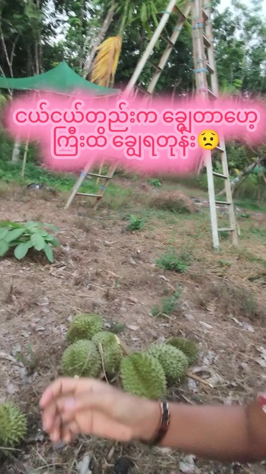 TikTok video thumbnail by tr.thet8