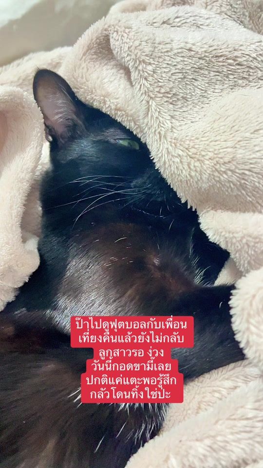 TikTok video thumbnail by dammyblackcat1