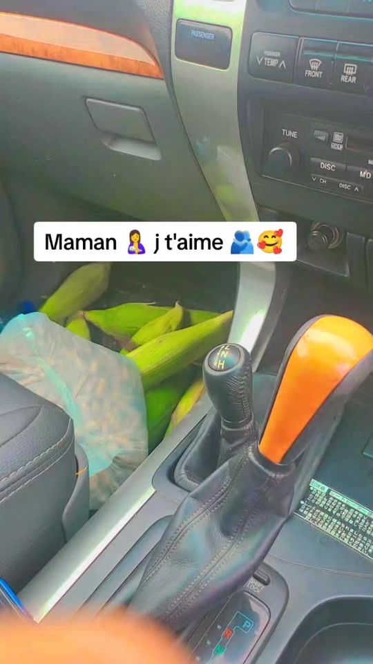 TikTok video thumbnail by kasatermutebaedmond