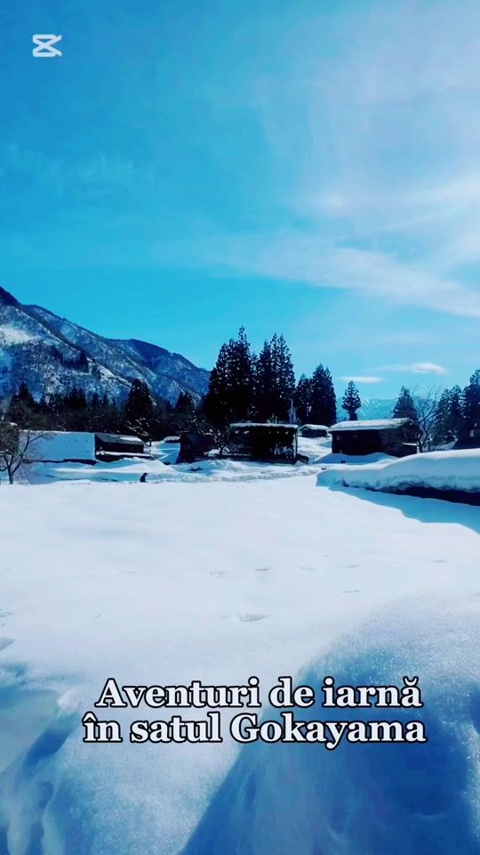 TikTok video thumbnail by explore.japanwith.ale