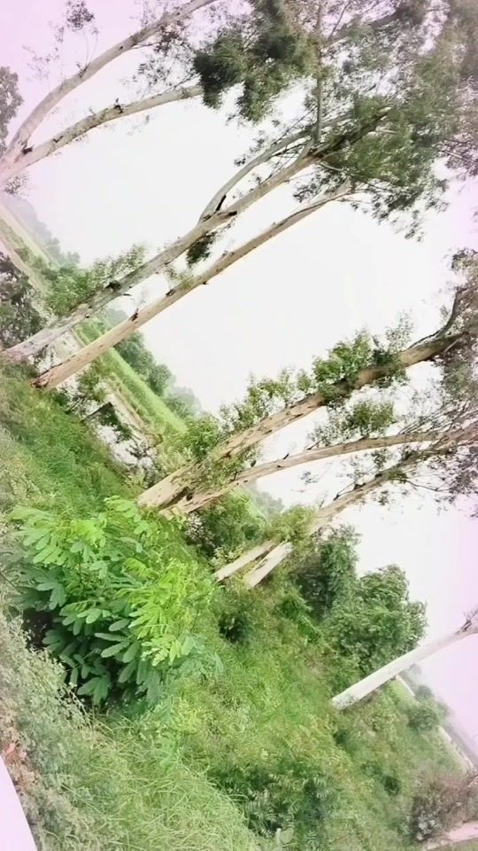 TikTok video thumbnail by ziddirailadki5