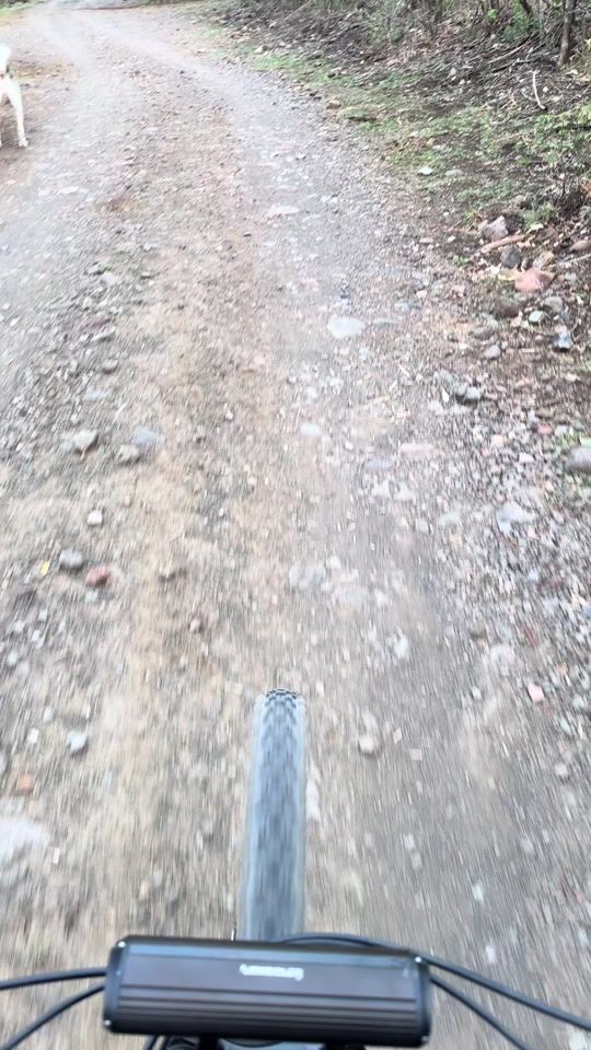 TikTok video thumbnail by eltiomikemtb