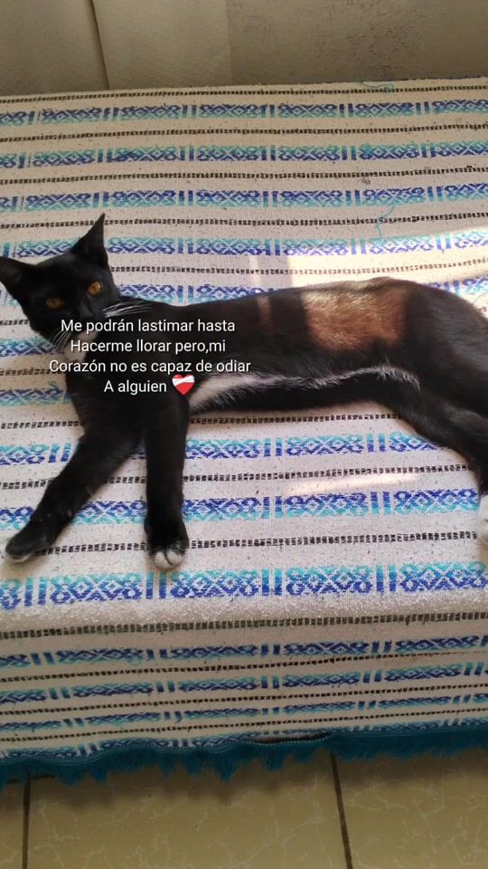 TikTok video thumbnail by yesillanos2067