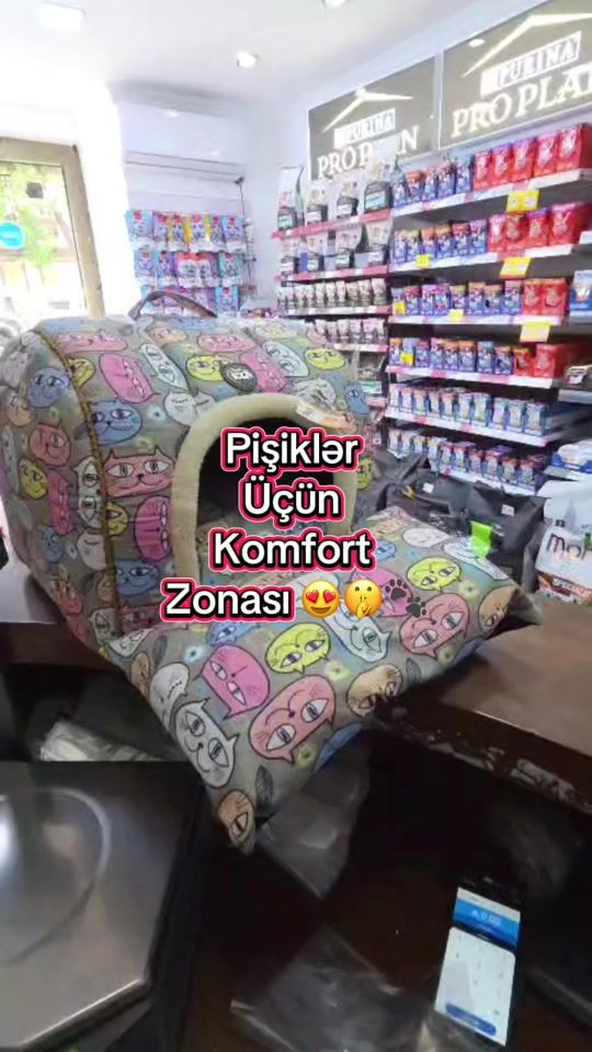 TikTok video thumbnail by zoo.lisa