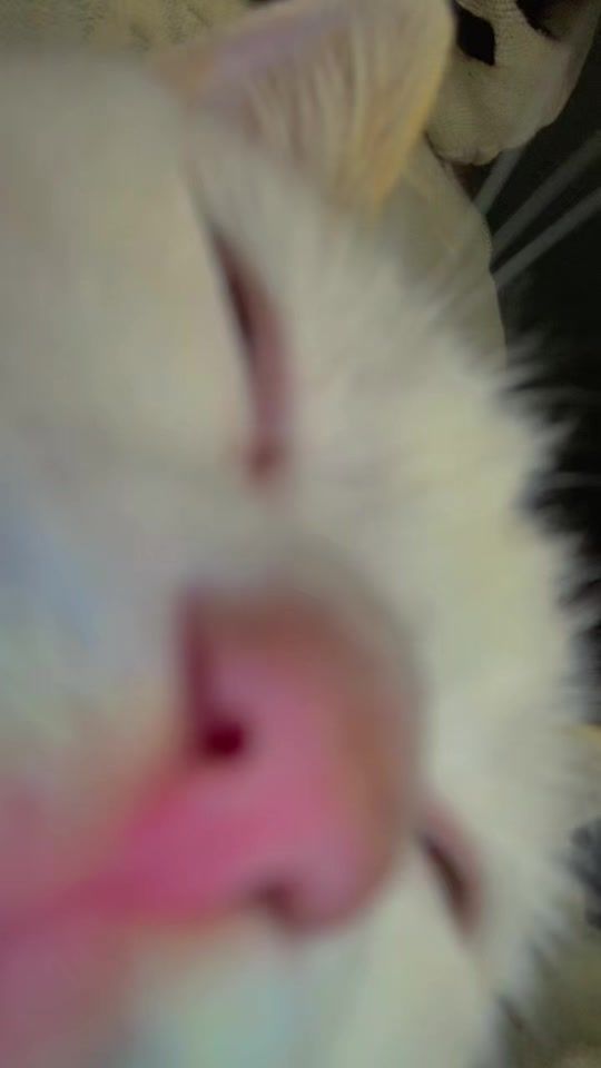TikTok video thumbnail by defallahofficial