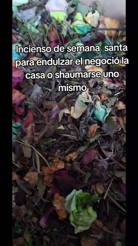 TikTok video thumbnail by quillamama
