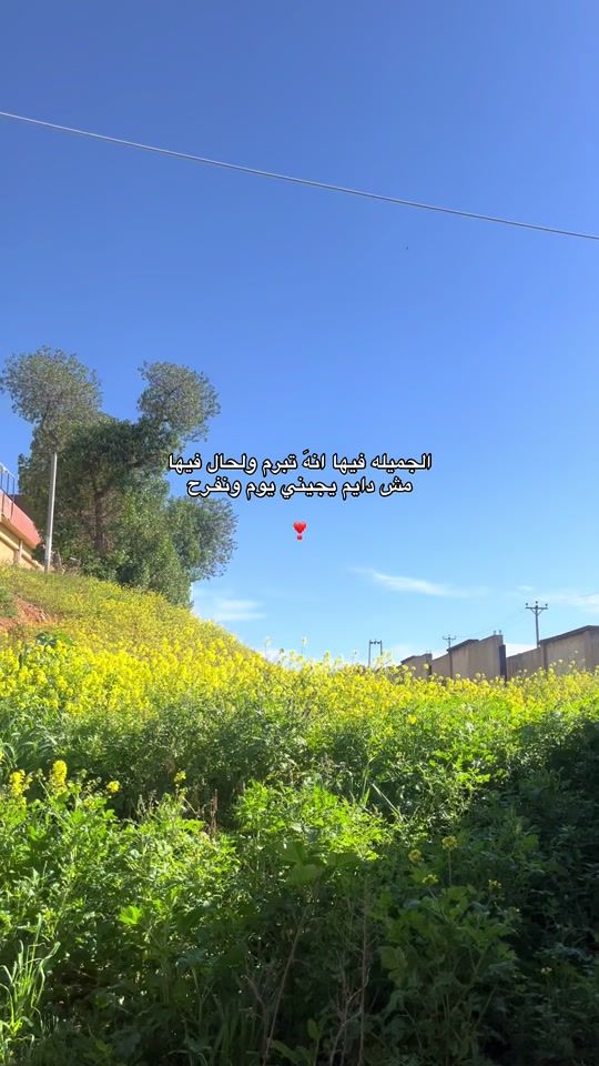 TikTok video thumbnail by do.s.00