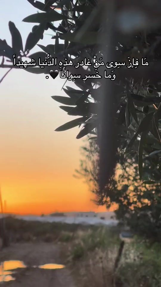 TikTok video thumbnail by koren._.6