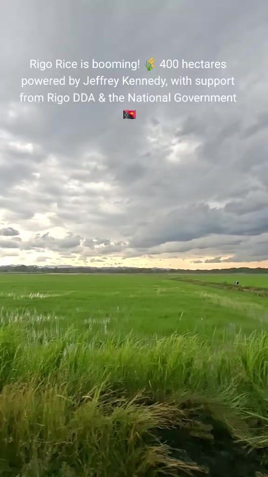 TikTok video thumbnail by streetsmart31