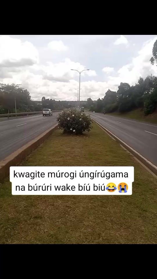 TikTok video thumbnail by chegemedia