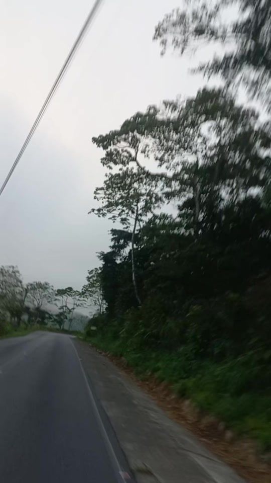 TikTok video thumbnail by luz_mari38