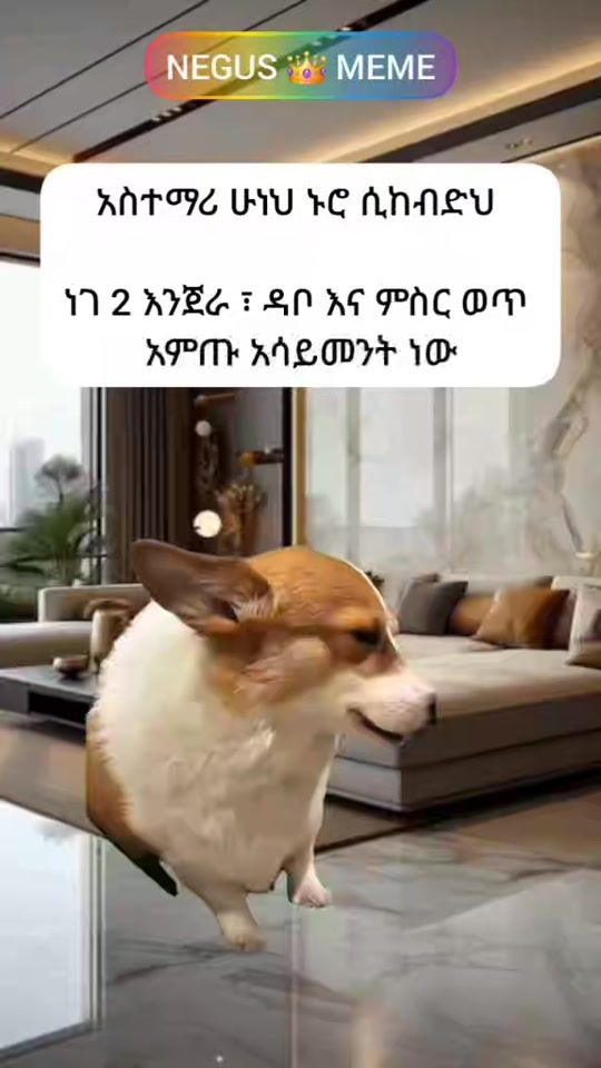 TikTok video thumbnail by negus_meme