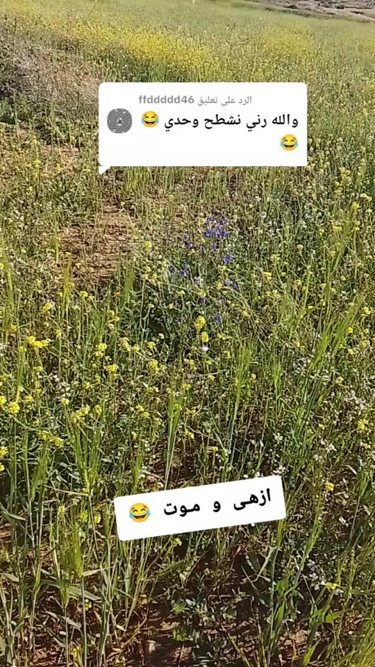 TikTok video thumbnail by chawi_rem_1990