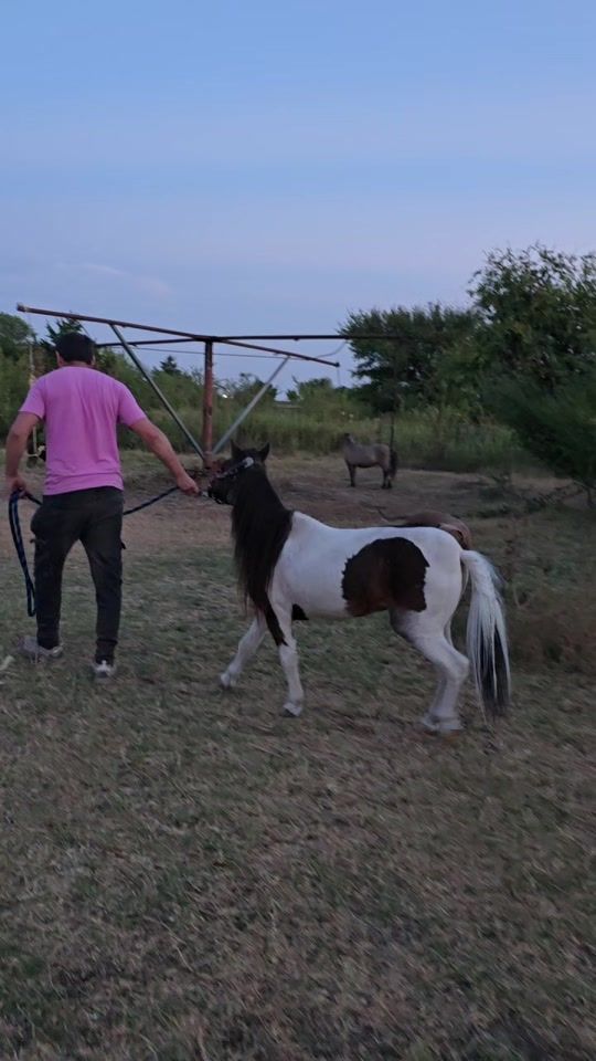 TikTok video thumbnail by rancho.el.olimpo