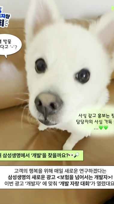TikTok video thumbnail by pet.zip