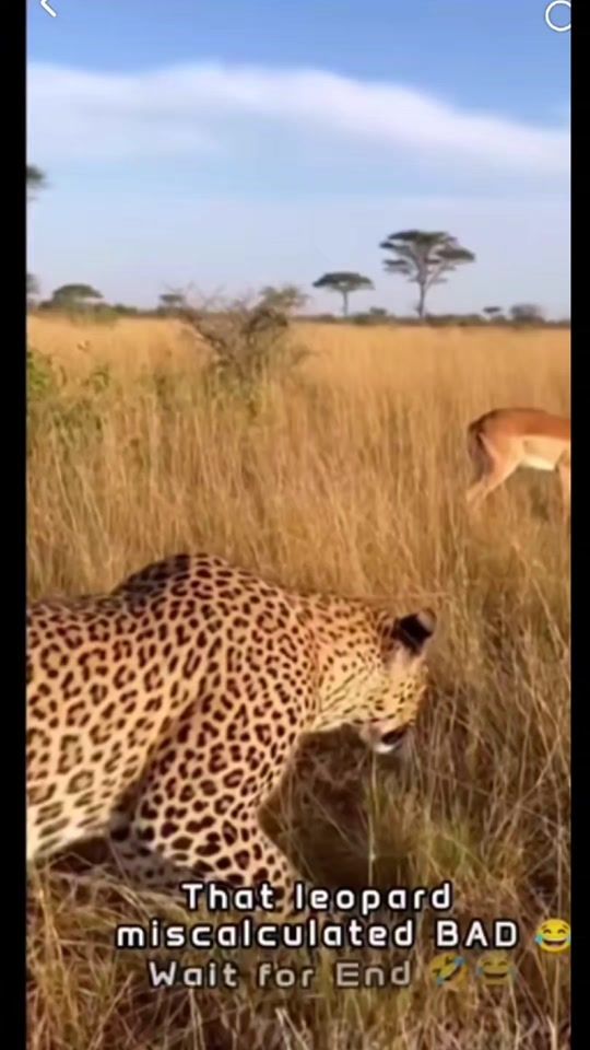 TikTok video thumbnail by darklinledab237