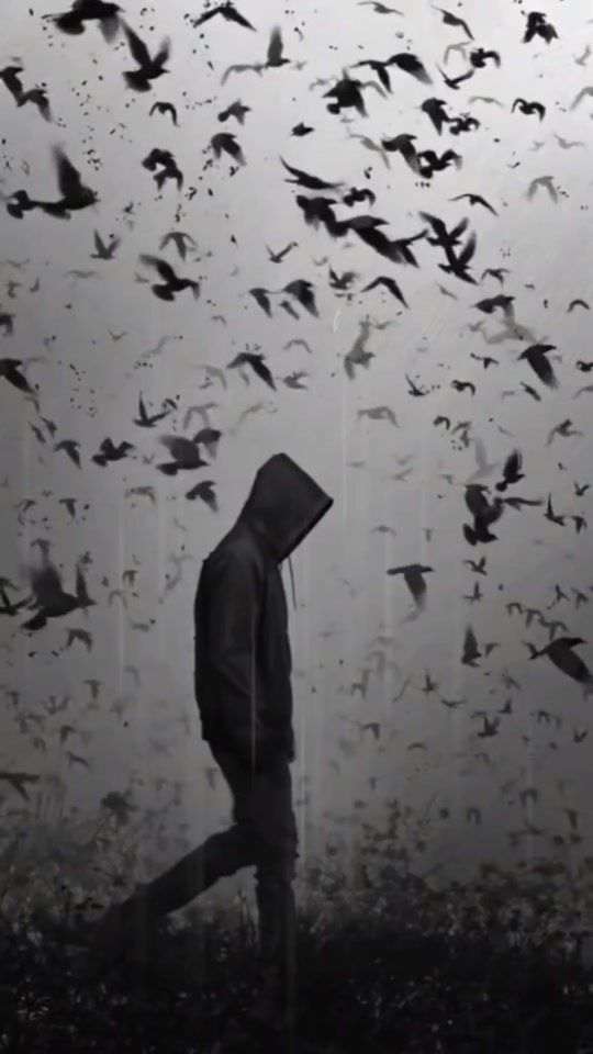TikTok video thumbnail by logynagib