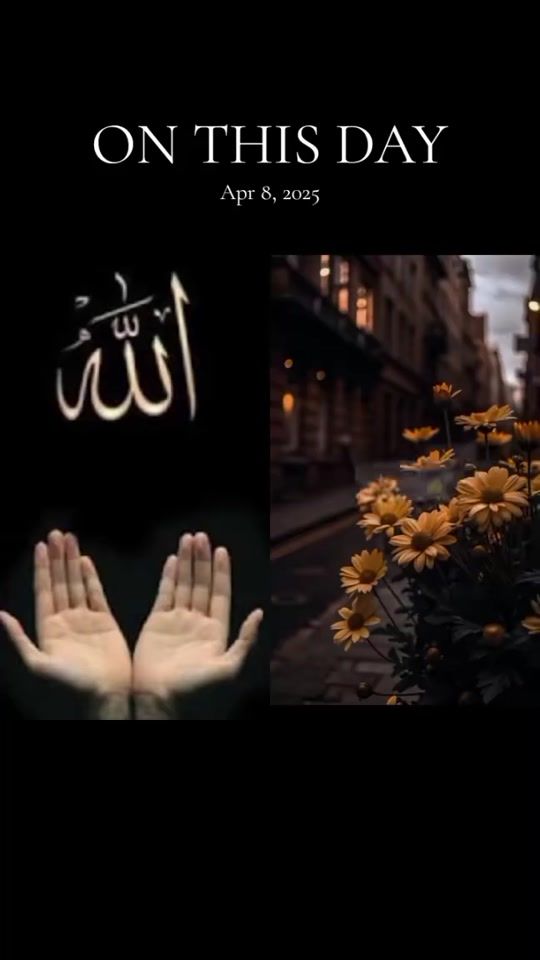 TikTok video thumbnail by xuseenmaxamedcabdo