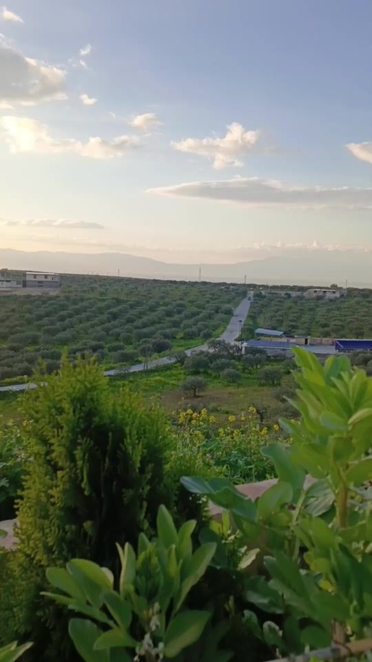 TikTok video thumbnail by sesoismaeil