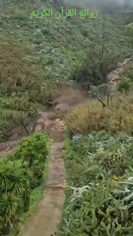 TikTok video thumbnail by fnsharran