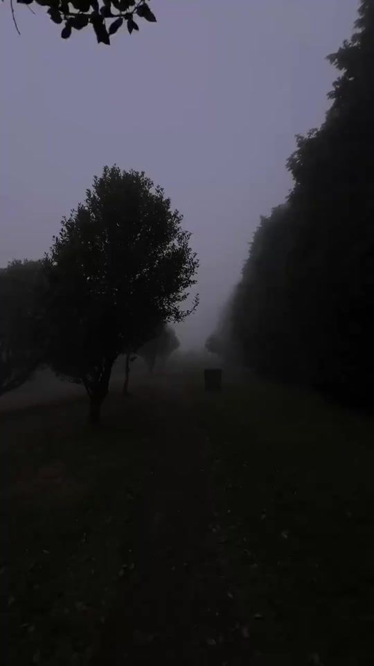 TikTok video thumbnail by fog_t_